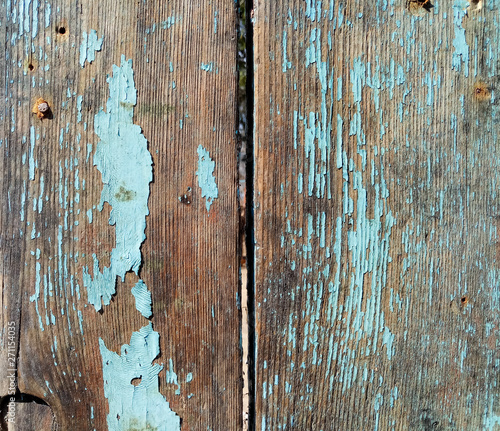 texture of old painted shabby rustic wooden fence made of planks, with rusty nails, grunge background