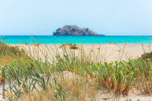 Amazing sandy beach of Xerokampos  Sitia with turquoise waters at the East part of Crete island  Greece.