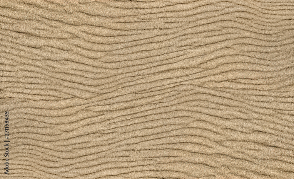 Sand ripple texture. Sandy background. Sand close-up. Sand ripple texture. Sandy background. Sand close-up.