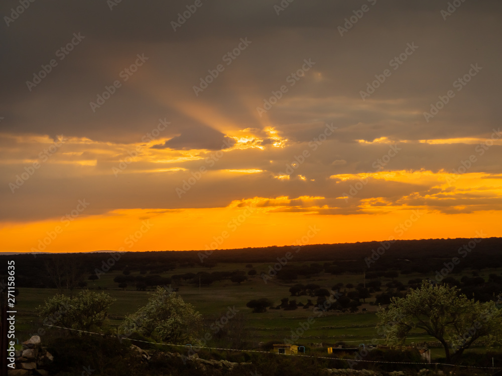 A sunset landscape in the dehesa on a cloudy day A sunset landscape in the dehesa on a cloudy day
