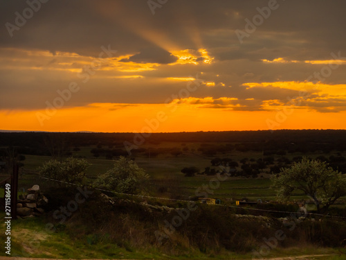 A sunset landscape in the dehesa on a cloudy day