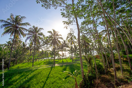 Wallpaper Mural Beautiful sunsets on the banks of the river Indonesia in Java Torontodigital.ca