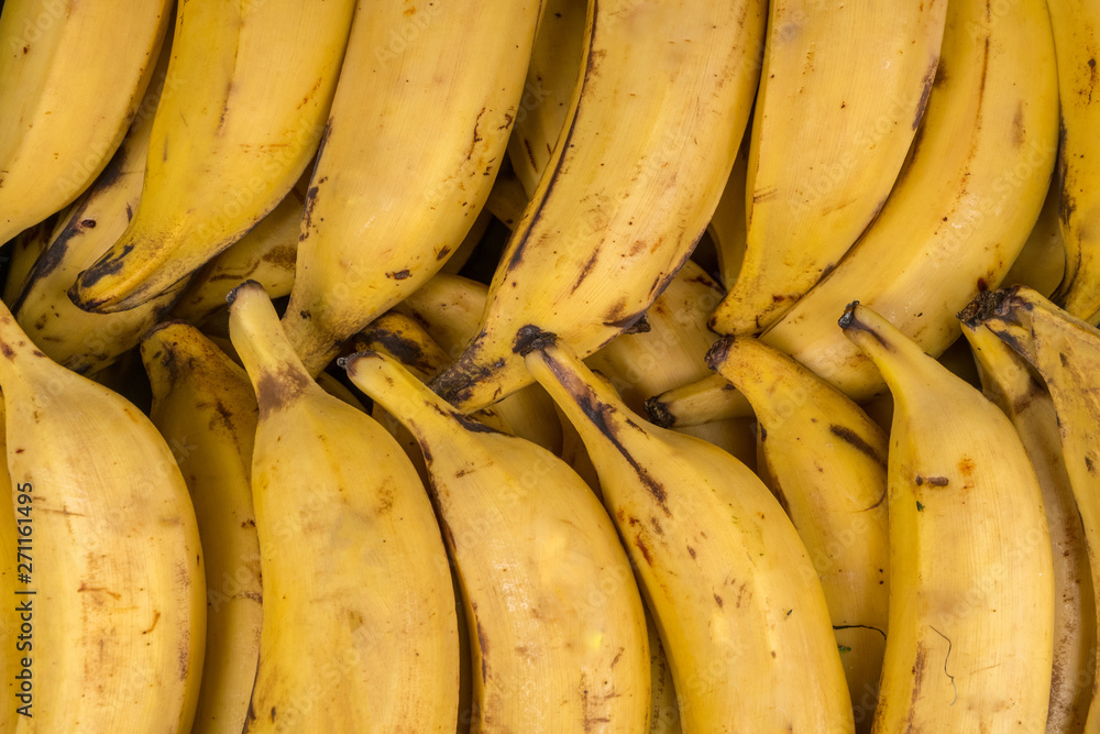 bunch of ripe bananas in the store.
