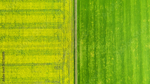 Aerial view of summer fields. Yellow fields from above. Photo captured with drone.