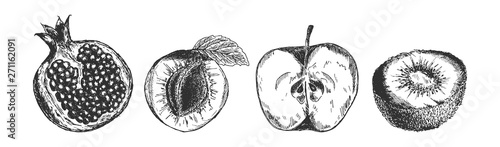 Useful fruits set in engraved style