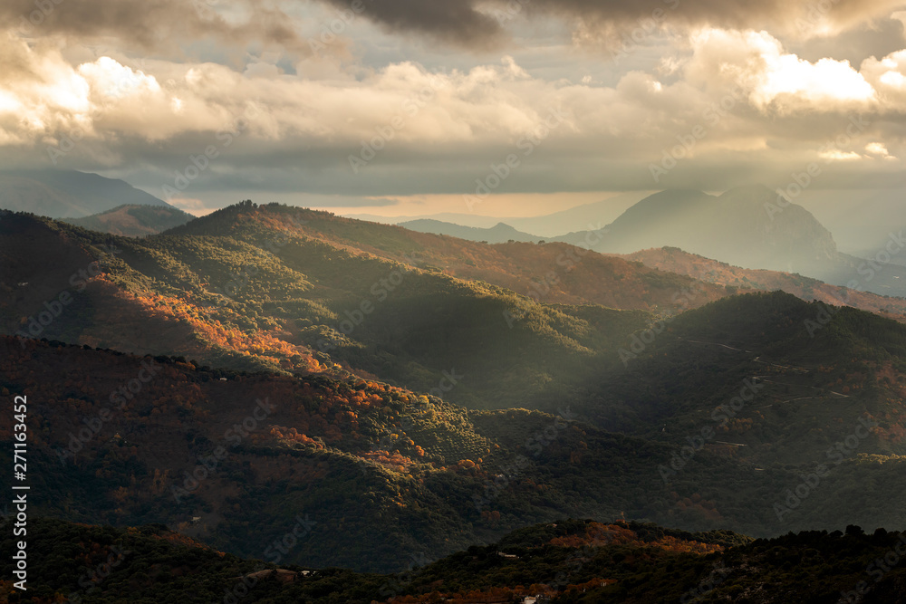 Obraz premium Beautiful landscape in sunbeam light