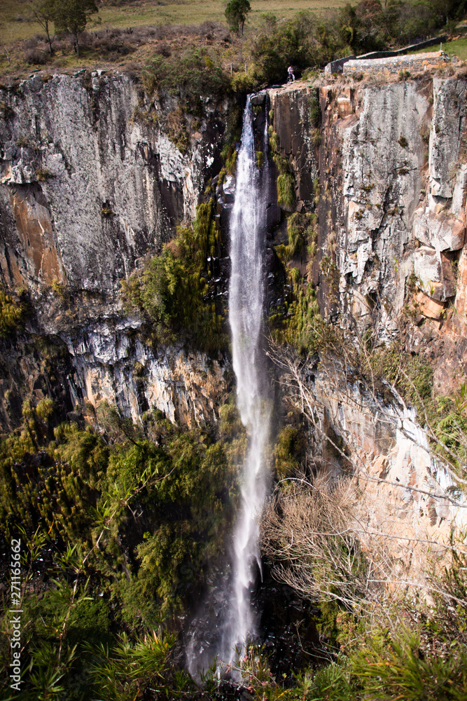 Obraz premium waterfall in forest