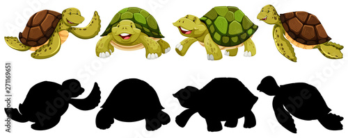 Set of turtle character
