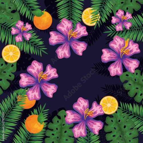 exotic flowers with orange fruits and leaves