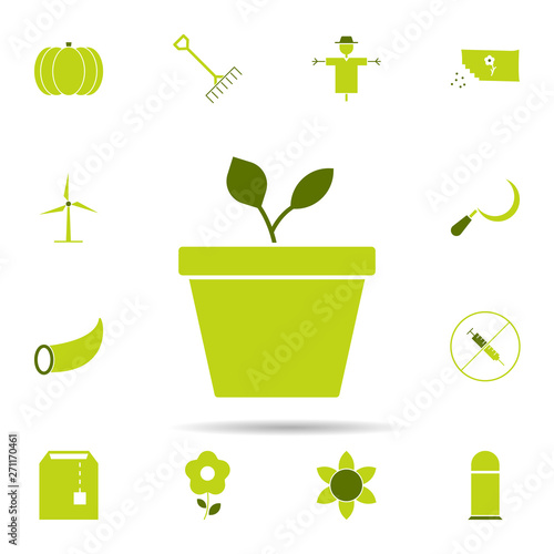 plant, garden, ecology icon. Universal set of agriculture gardening for website design and development, app development