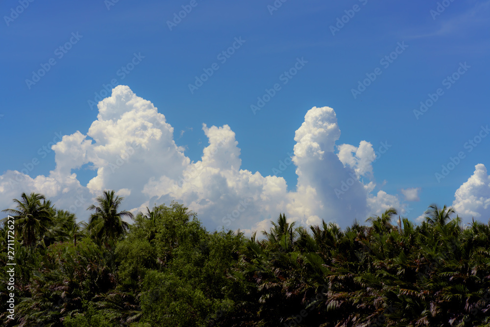 Obraz premium Big white cloud in the blue sky and the green tropical forest
