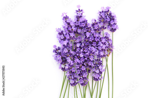 flowers of lavender on a white background