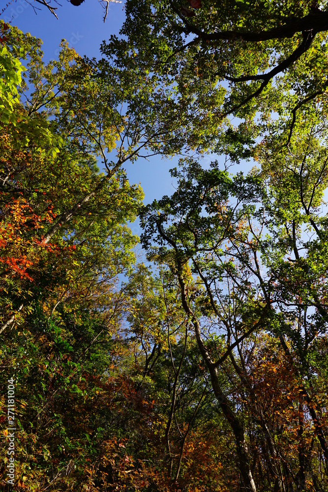 Naklejka premium 大阪府 岩湧山