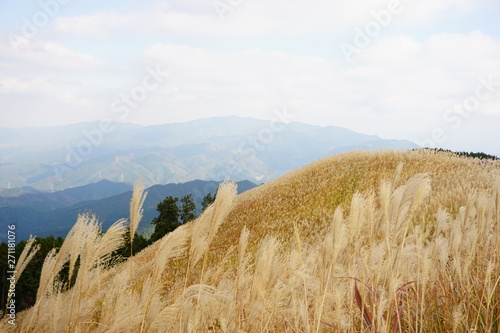 大阪府　岩湧山