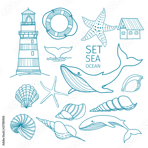 Set of marine objects - Shells, whale tail, Starfish, lifeline, whale, house, lighthouse. Hand-drawn illustration, sketch.