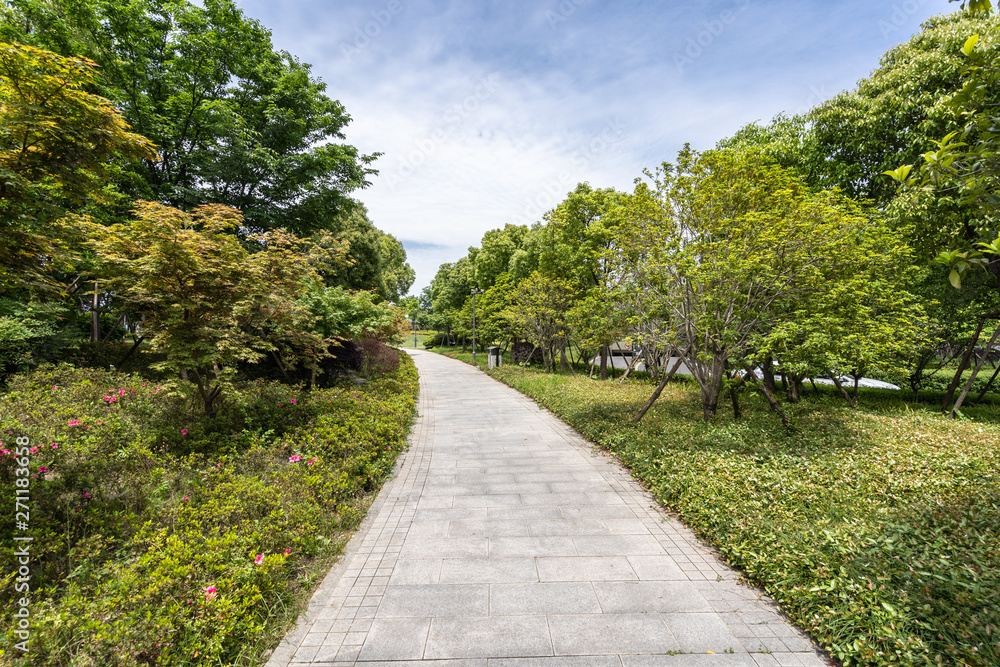 road in park road in park