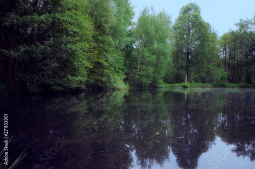Fototapeta Naklejka Na Ścianę i Meble -  See am Wald