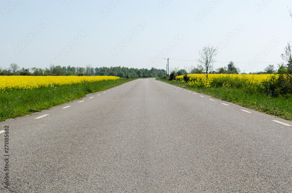 Ground level view of an asphalt road with rapeseed fields by roadside