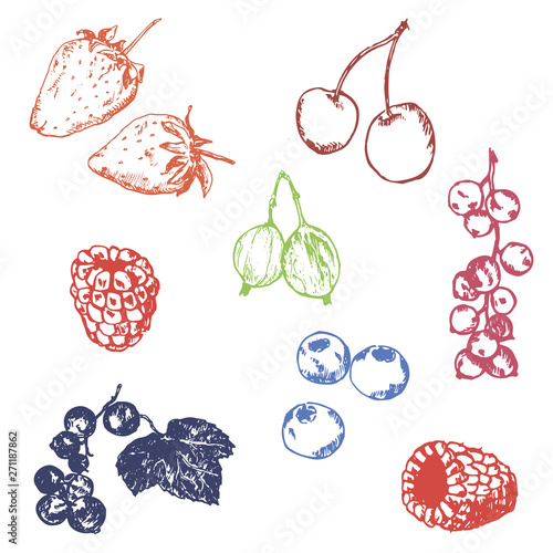 Colored berry hand drawn vector set. Berries engraving doodle sketch etch line. Currant, raspberry, strawberry, blueberry, cherry on white background. Dessert ingredient