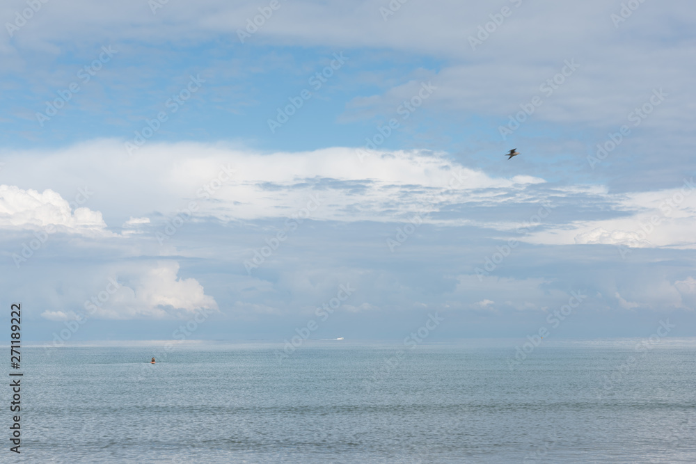 paysage de bord de mer sous le soleil