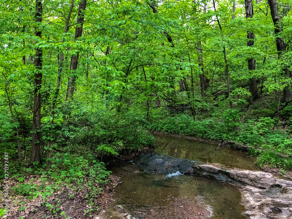 Beautiful view of the Starved Rock Nationl Park Beautiful view of the Starved Rock Nationl Park