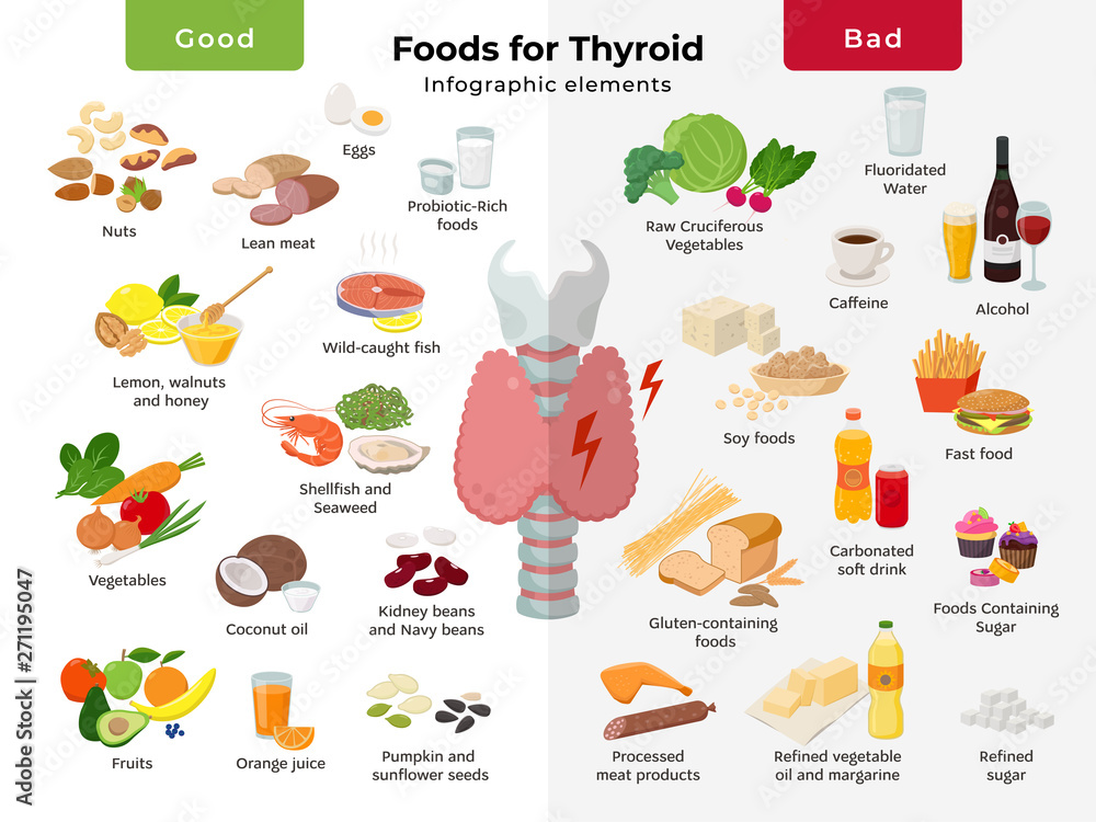 Thyroid nutrition infographic elements. foods for thyroid health, good and bad meals icon set in flat design isolated on white. Thyroid gland on the larynx and trachea vector flat illustration.