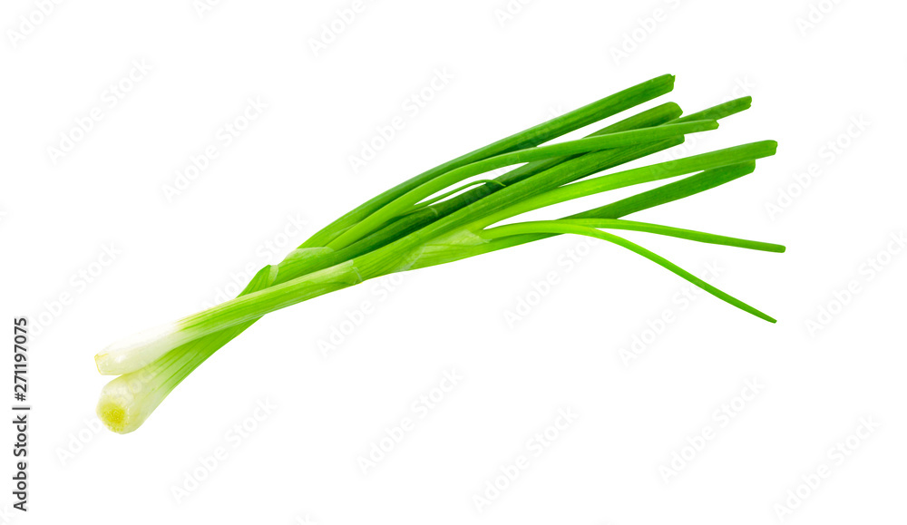 chopped green onions on white background chopped green onions on white background