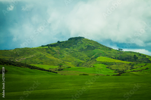 Hill with field in south Italy 5