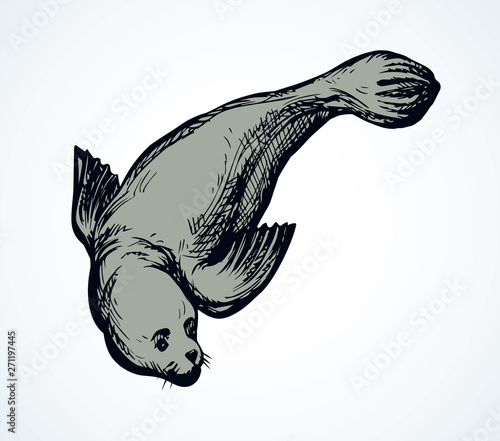 Seal. Vector drawing