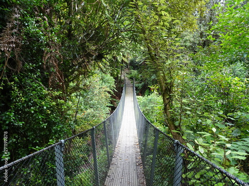 pont suspendue - Nouvelle Zélande