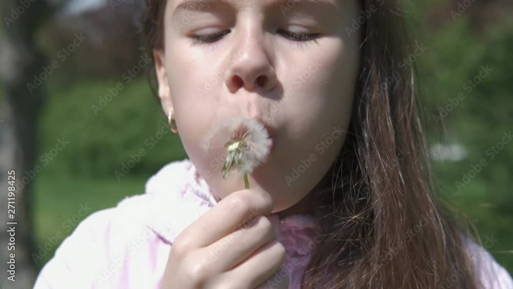 A child blowing on a fluffy dandelion. A cute baby girl is playing with fluffy dandelions. A child blowing on a fluffy dandelion. A cute baby girl is playing with fluffy dandelions.