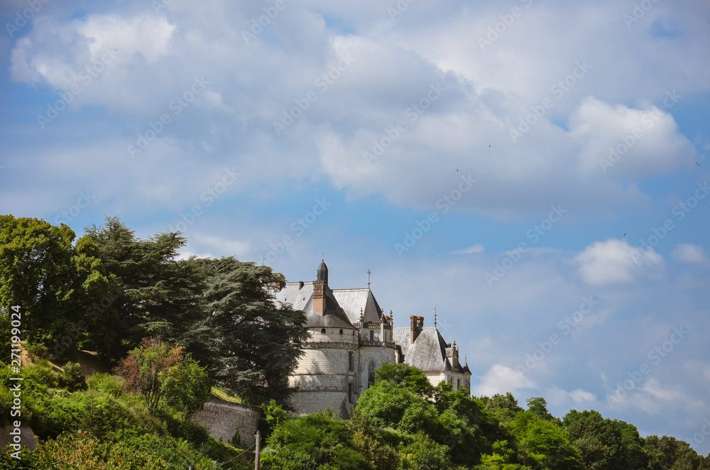 Chaumont castle roof, behind a forest, on a sunny day