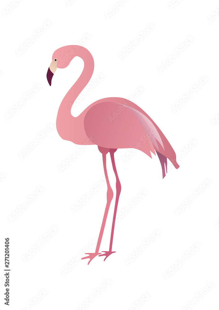 Fototapeta premium Flat pink flamingo isolated on white background. Vector illustration