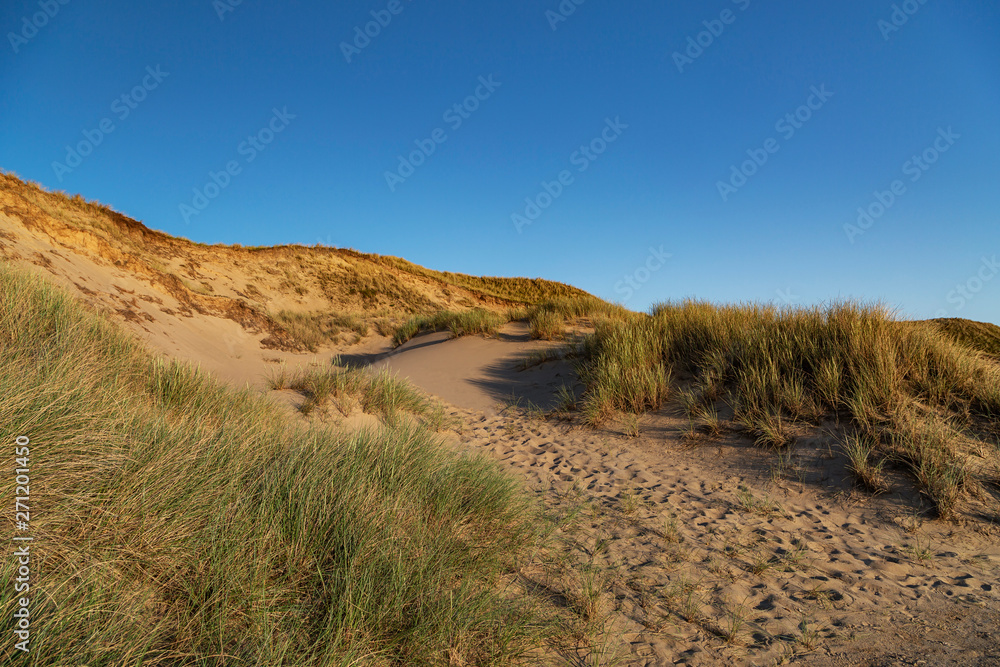 Sylt - View to abandoned Dunes at Kampen close to Sunset, Schleswig-Holstein, Germany, 07.06.2018