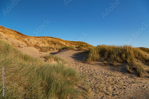 Sylt - View to abandoned Dunes at Kampen close to Sunset  Schleswig-Holstein  Germany  07.06.2018