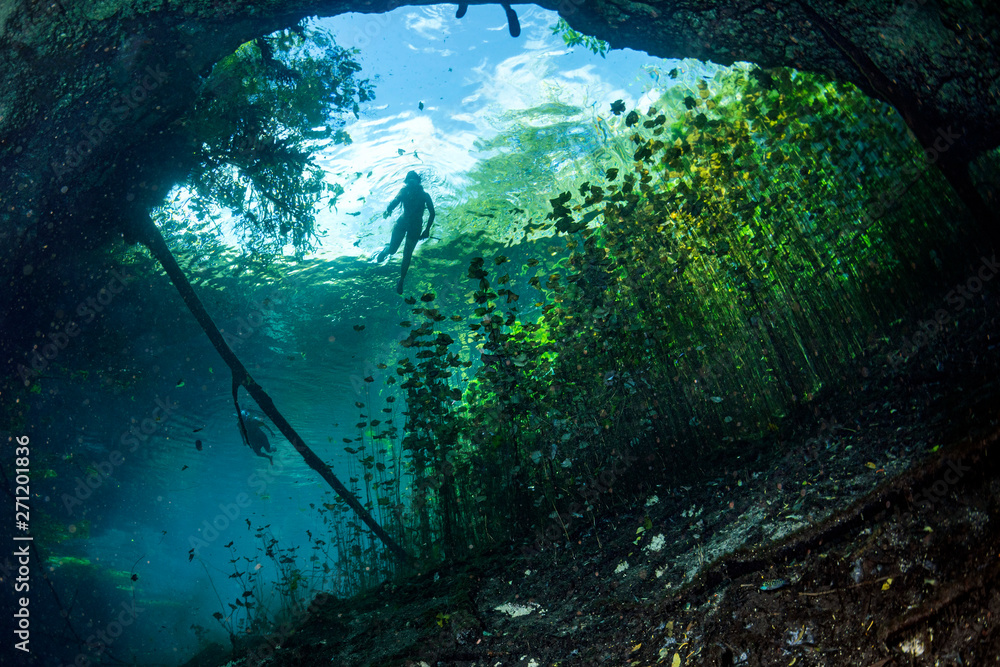 Cave diving in mexican cenotes - obrazy, fototapety, plakaty 
