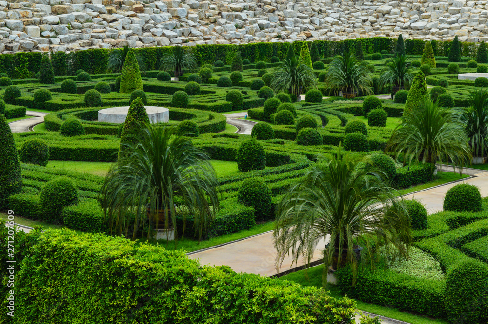 Fototapeta premium tree in garden