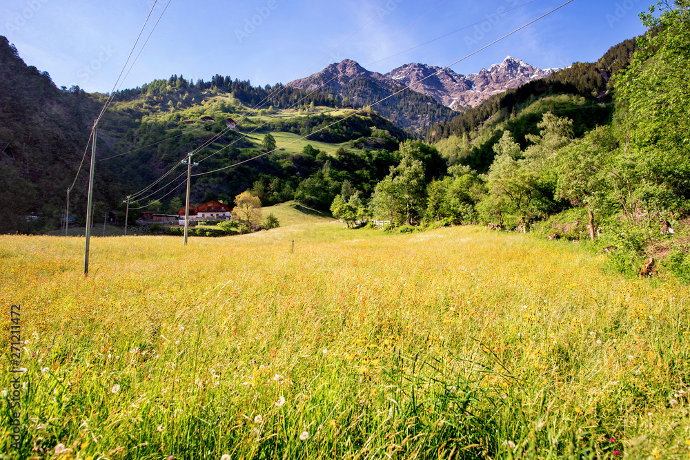 Fototapeta premium Paesaggio Tirolese