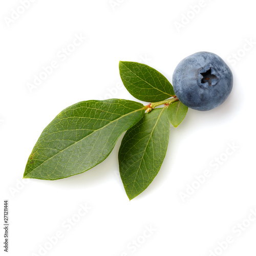 Fresh ripe blueberry berries and leaves isolated on white background. Top view.