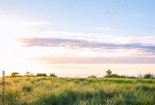 sunset over green field © QuickStartProjects