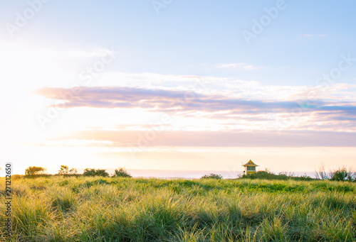 sunset over green field