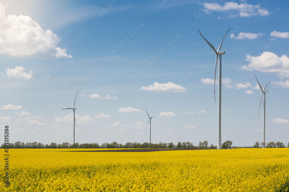 Four wind turbines stand on a flowering canola field, the concept of clean energy Four wind turbines stand on a flowering canola field, the concept of clean energy