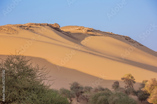 Desert sand dunes in an evening sun near Jazirat Salujah close to Aswan photo