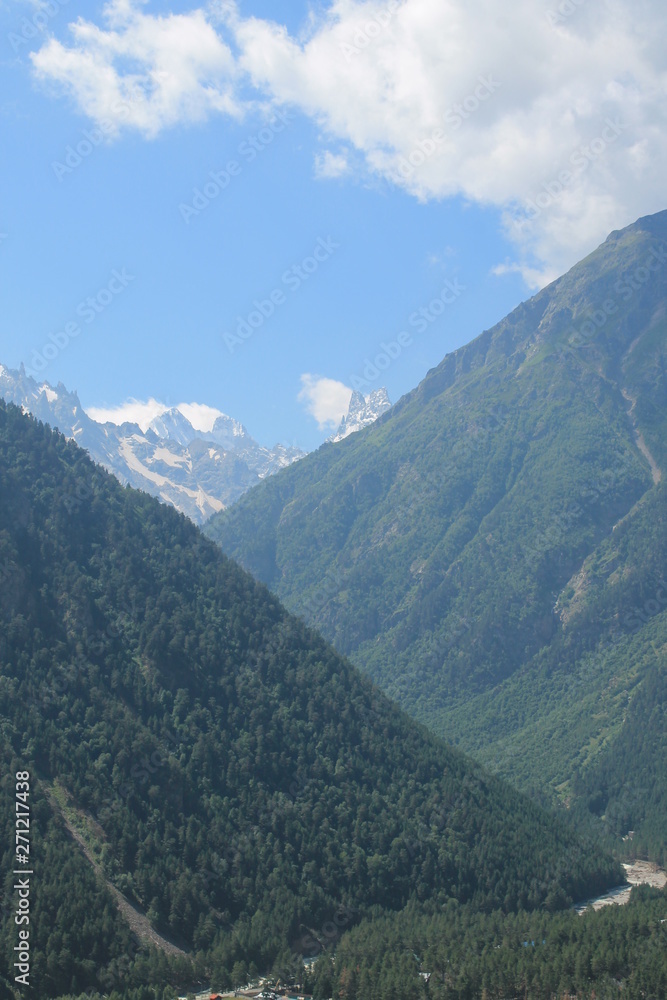 custom made wallpaper toronto digitalMountain