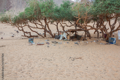 A messy oasis near Jazirat Salujah close to Aswan photo