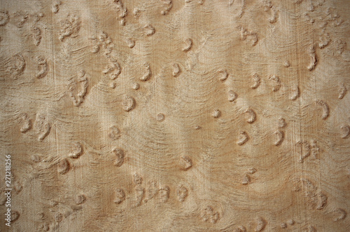 Birdseye maple - veneer wood surface