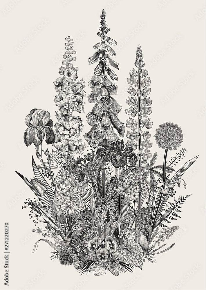 Lovely Garden. Flowerbed. Vintage illustration. Spring and summer garden flowers. Black and white - obrazy, fototapety, plakaty 