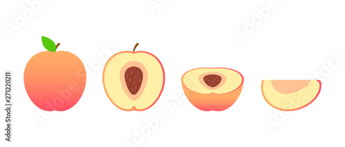 Set of fruits. Summer fruit collection. Fruits peach. Vegetarian and ecology food. Vector illustration.