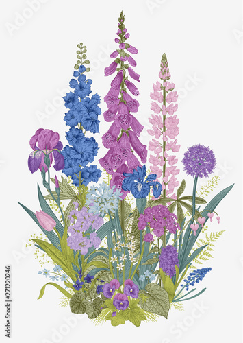 Lovely Garden. Flowerbed. Vintage illustration. Spring and summer garden flowers