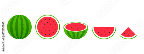 Set of fruits. Summer fruit collection. Fruits watermelon. Vegetarian and ecology food. Vector illustration.